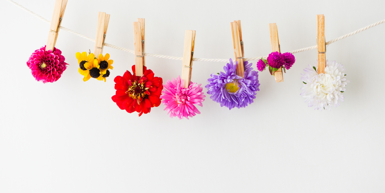 Why Flowers Make the Perfect Summer Host Gift