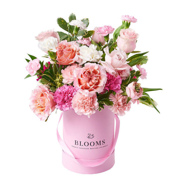S*r様 カーネーション CARNATION EARLY YEARS BOX レ Early Years Box : カーネーション | HMV&BOOKS online - PCD