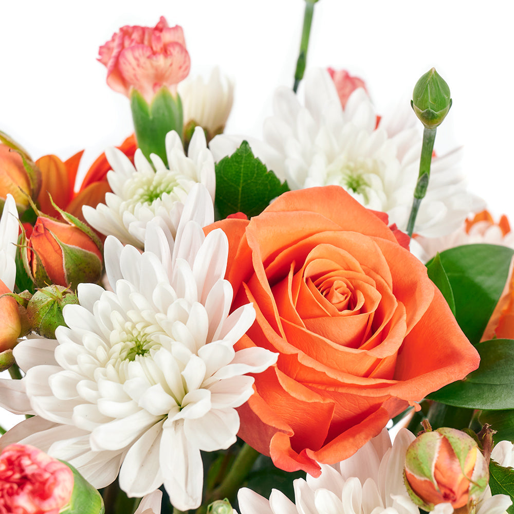 Forever Young Daisy Box - Mix Flower Hat Box Gift - Blooms America Delivery