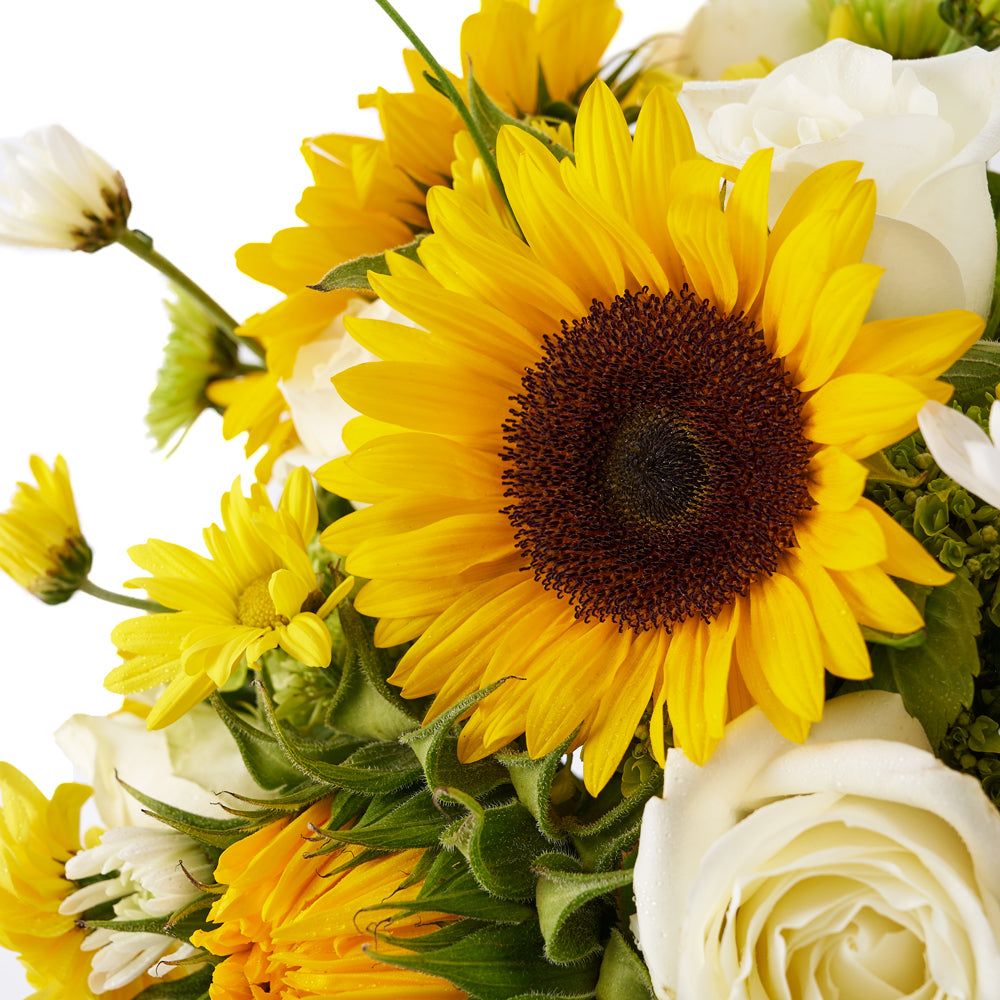 Seasonal Sunflowers with Roses and Daisies in Tall Black Box – how the gift is presented