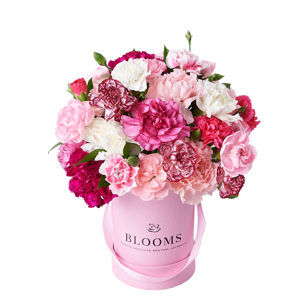 Perfectly Pink Carnation Gift Box, gift baskets, floral gifts, mother’s day gifts. Blooms America Delivery