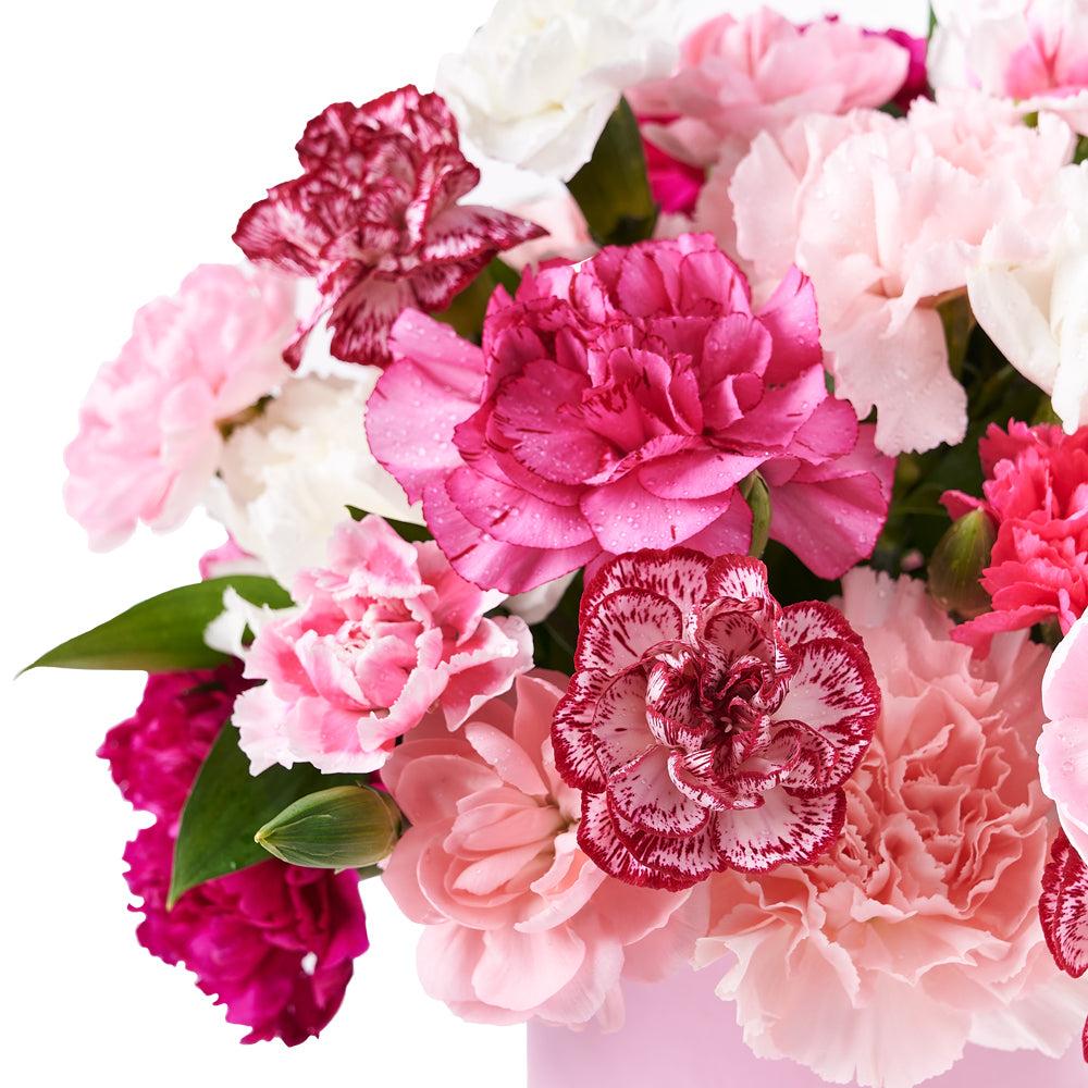 Gourmet Floral Gift with Mini Carnations in Round Pink Box – how the gift is presented