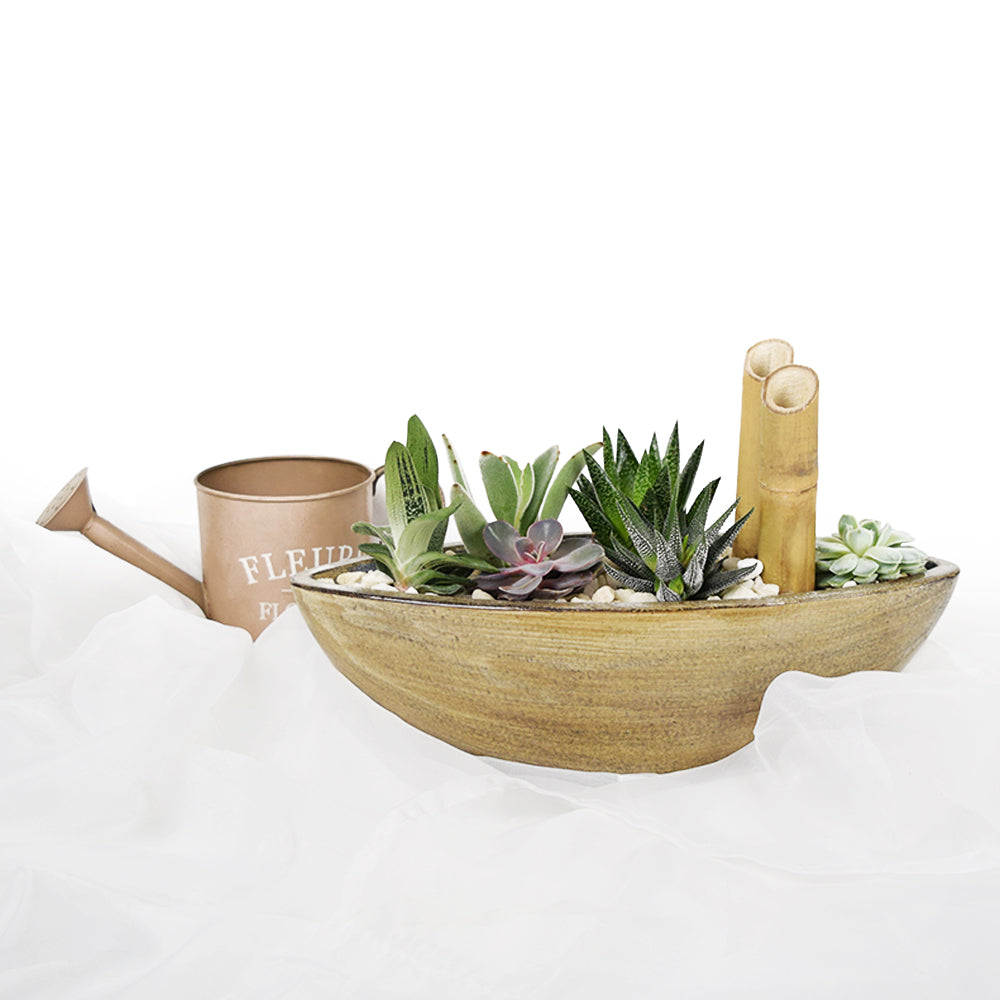Lush Tropical Plants Potted Collection – how the gift is presented