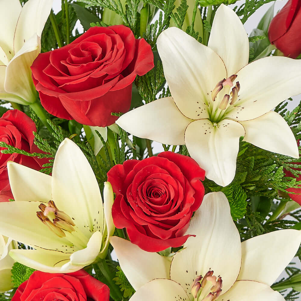 Mixed Floral Arrangement, Holiday, Christmas, Mix Floral Arrangement, Floral Gift, Floral Arrangement, Flower arrangement Blooms America Delivery