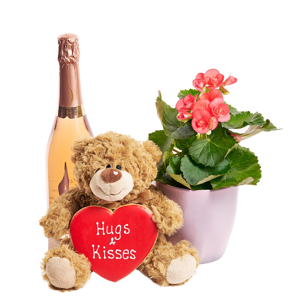 Sparkling Wine Mother's Day Gift Basket Featuring Begonia and Plush Teddy Bear – how the gift is presented