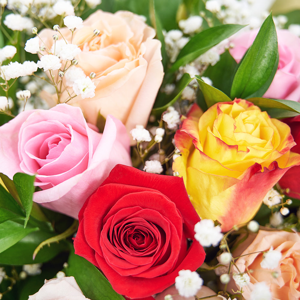 Enduring Charm Rose Bouquet – Rose Gifts – America delivery