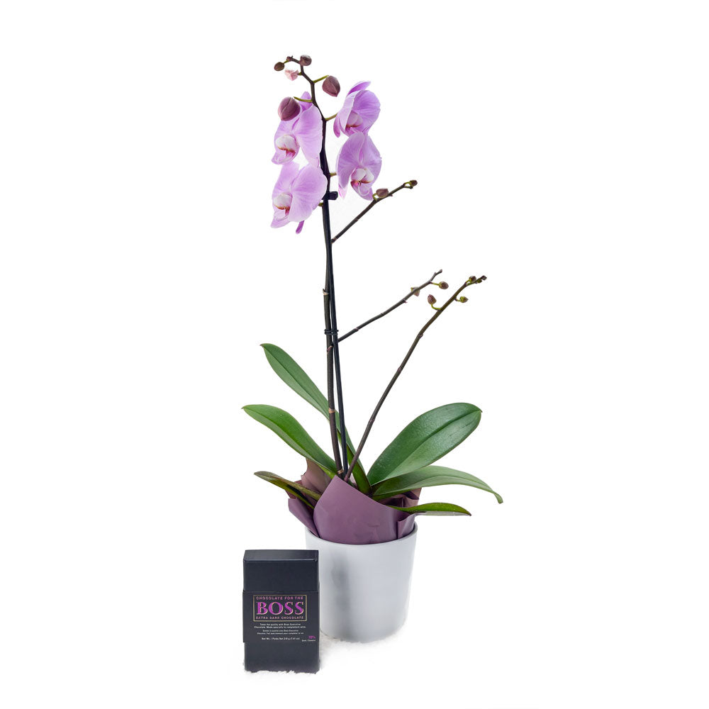 Floral Treasures Flowers Chocolate Gift - Orchid Gift Set - America Blooms Delivery