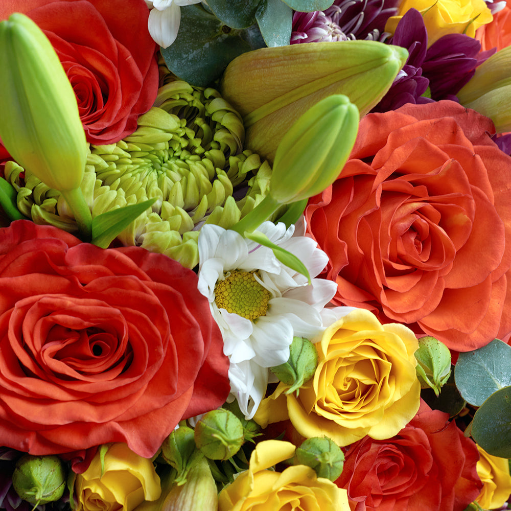 Mixed floral rose and lily bouquet. Blooms America Delivery.
