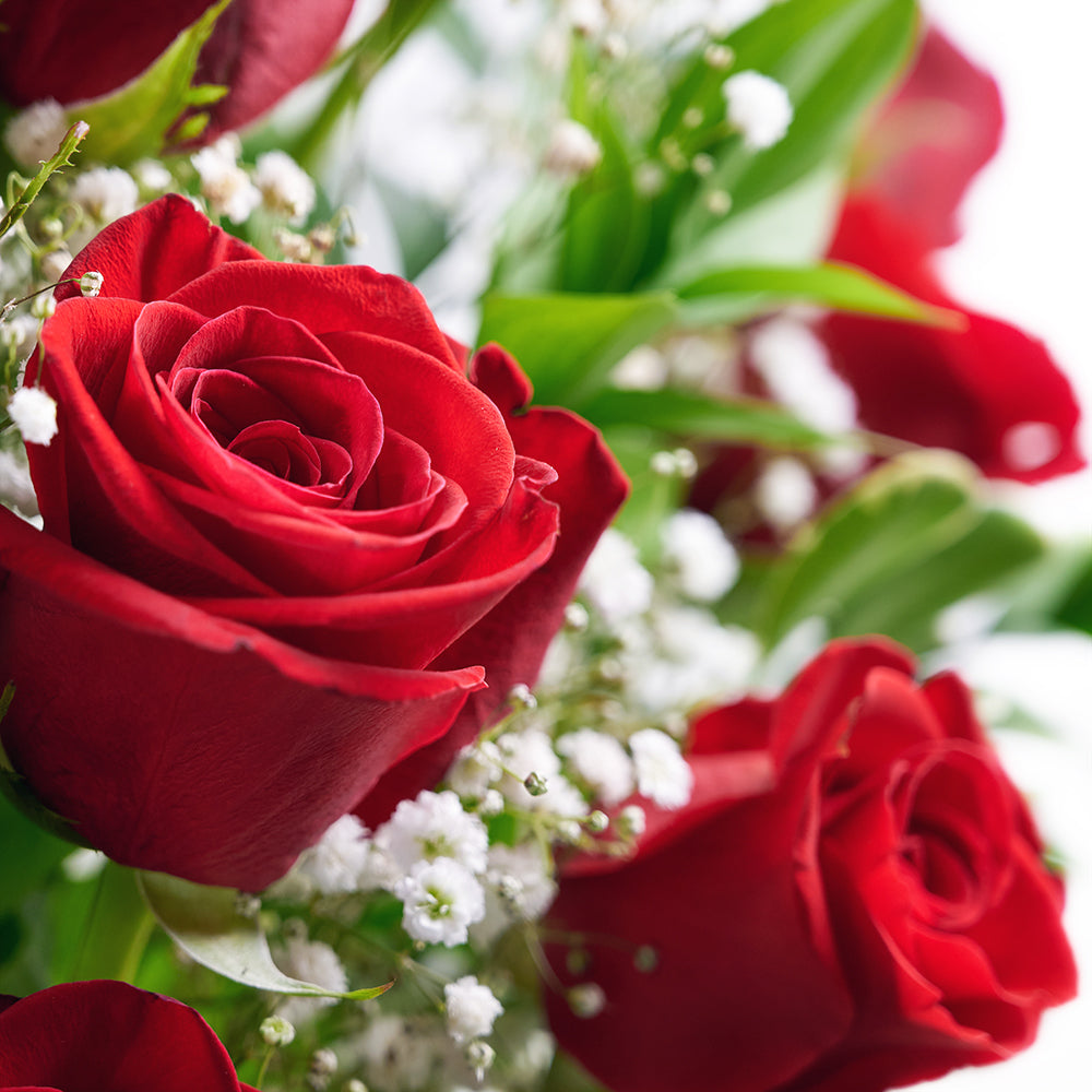 Baby's Breath and Red Roses Arrangement – how the gift is presented