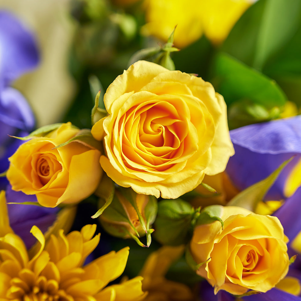 Luminous Lavender Iris Bouquet, Iris and mixed floral bouquet from America Blooms - America Delivery.