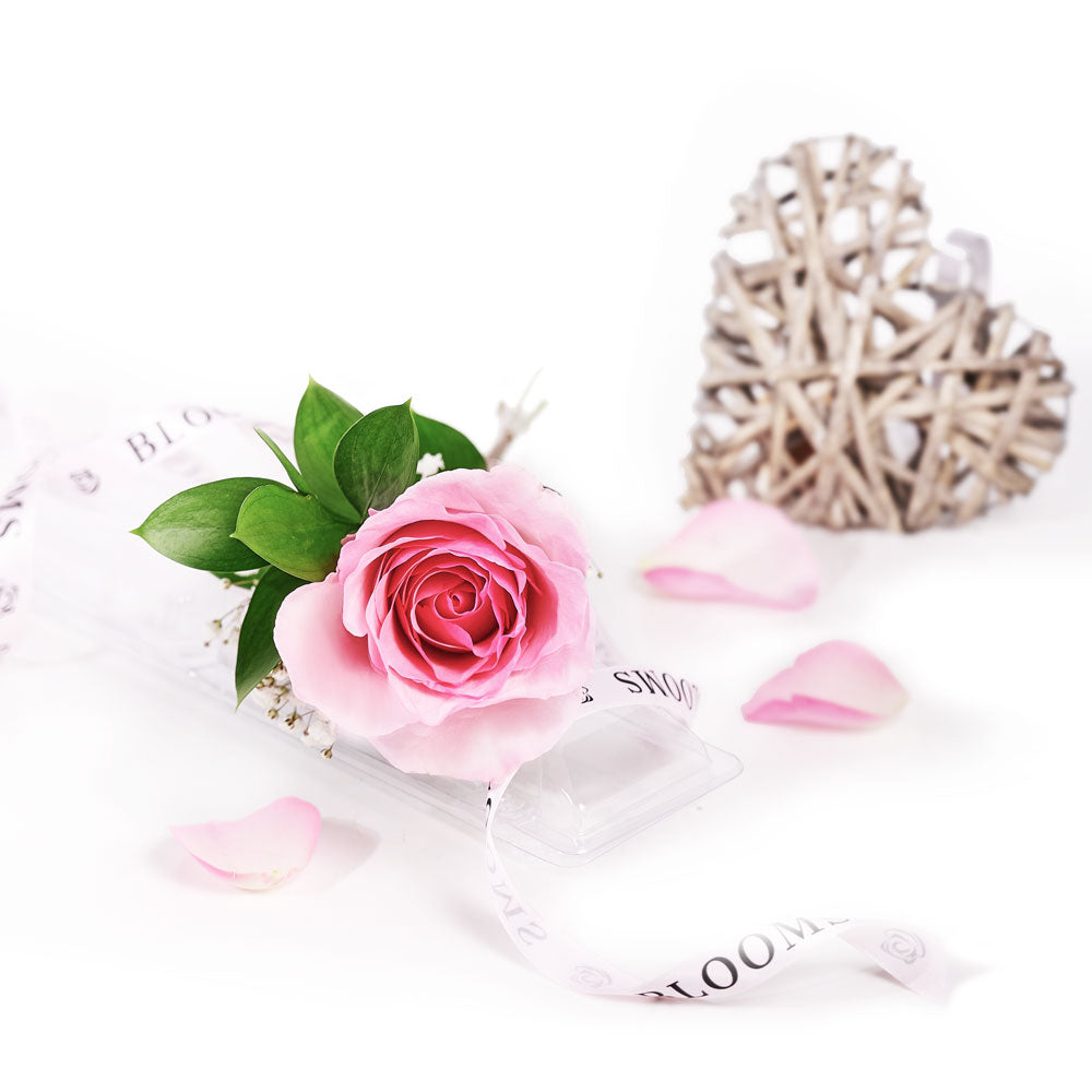 Mother's Day Single Pink Rose, Mother's Day Gifts from America Blooms - America Delivery.