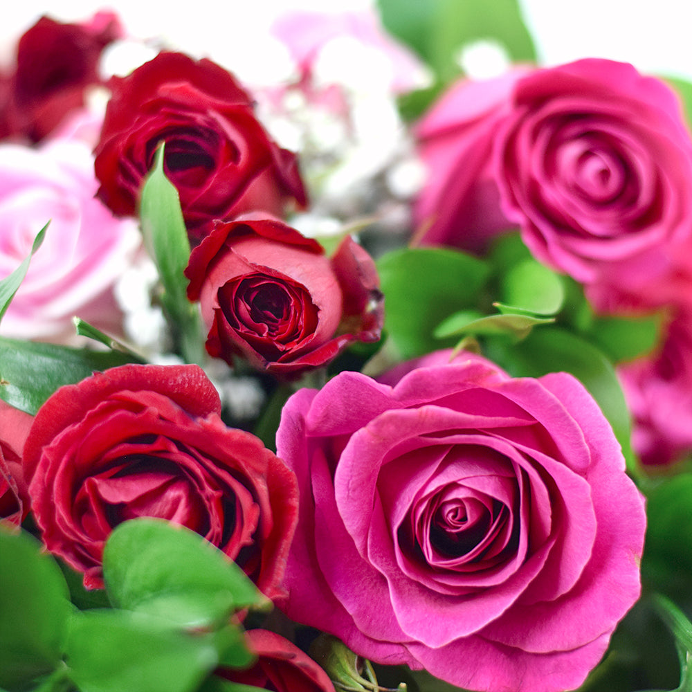 Pink and Red Roses in Wrap – how the gift is presented