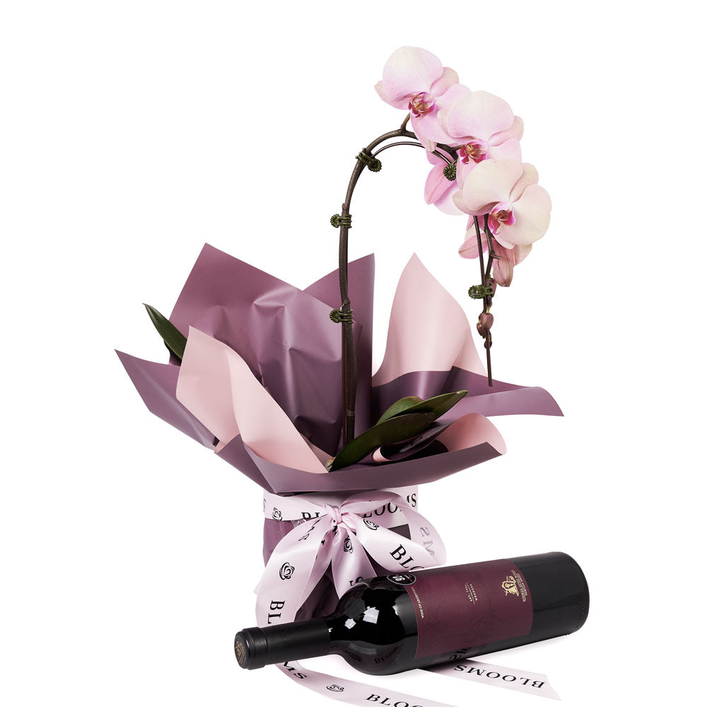 Phalaenopsis Orchid Plant and Wine Gift with Floral Wrap and Ribbon – how the gift is presented