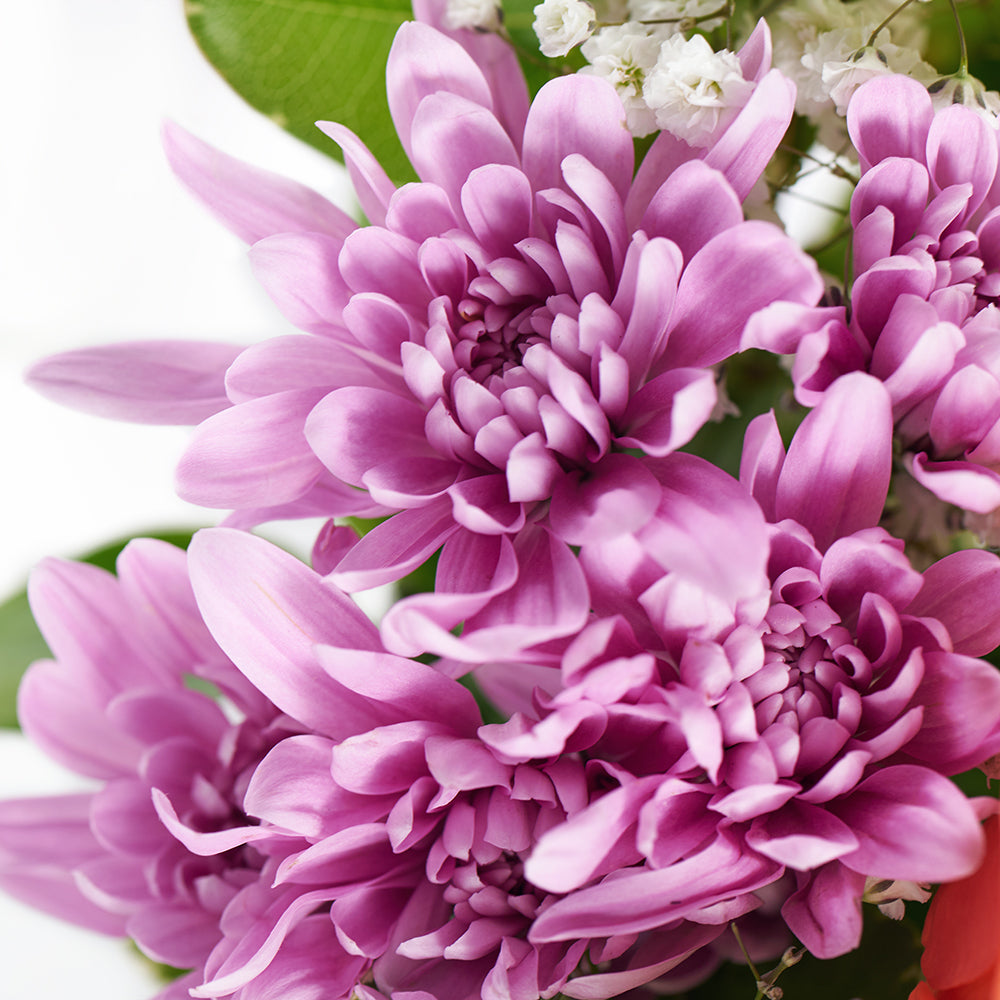 Spring Rose & Lily Arrangement – Floral Gifts – Blooms America delivery