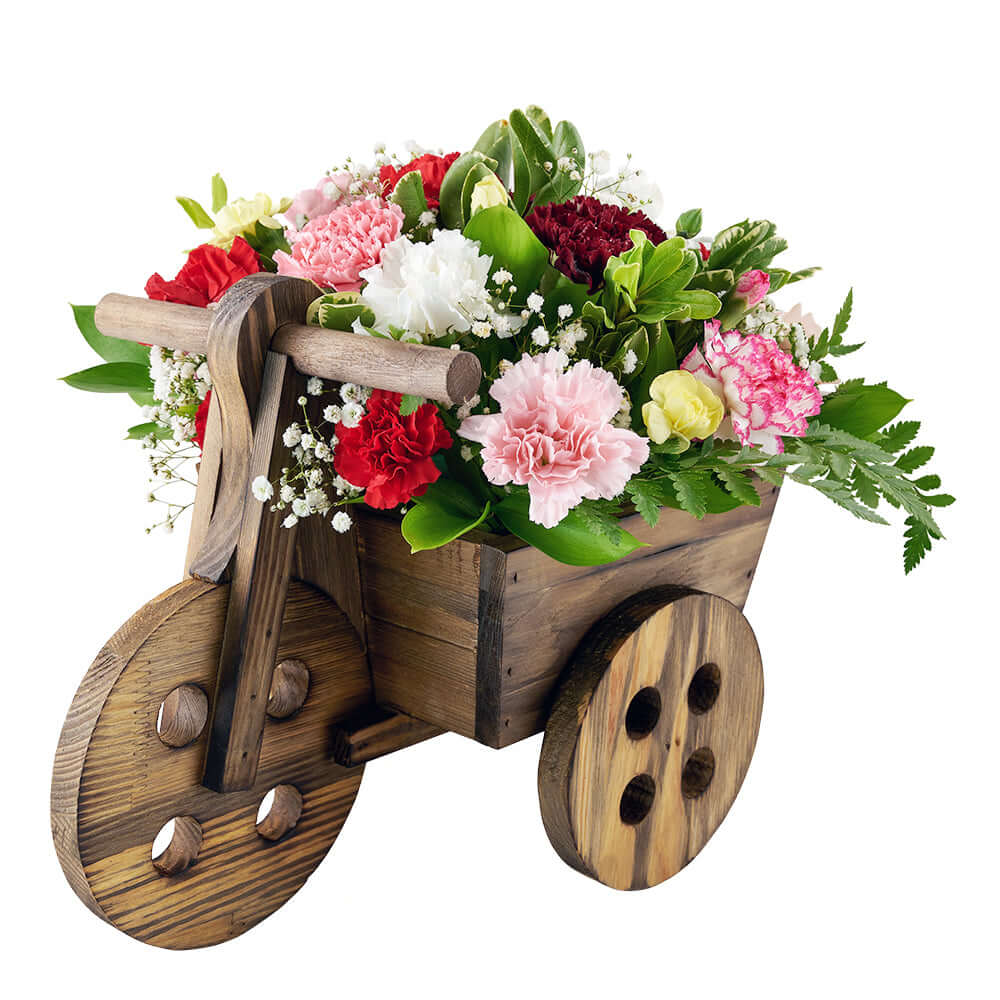 Carnation floral arrangement in a wooden cart planter. Blooms America Delivery.