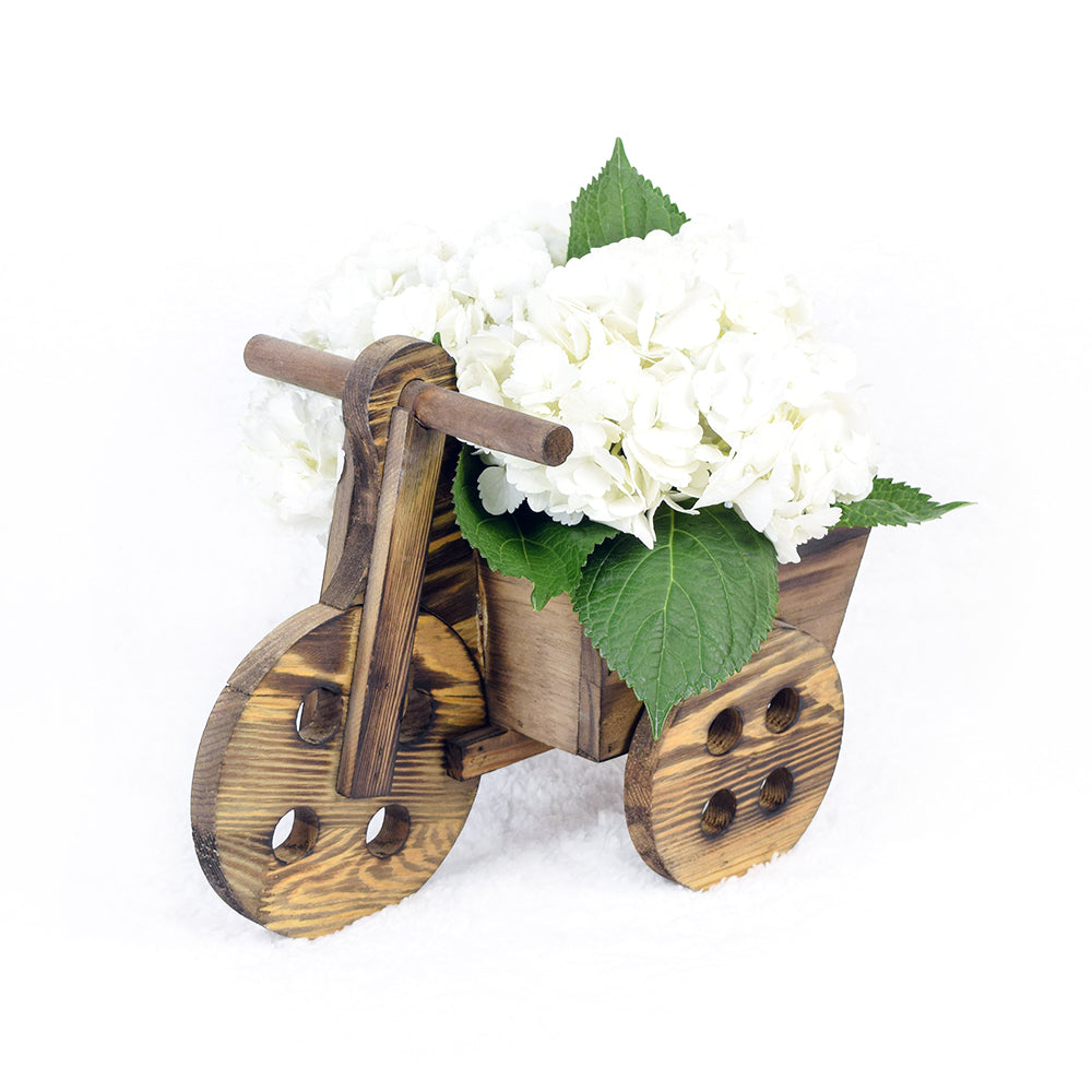 Bicycle Container with White Hydrangeas – how the gift is presented