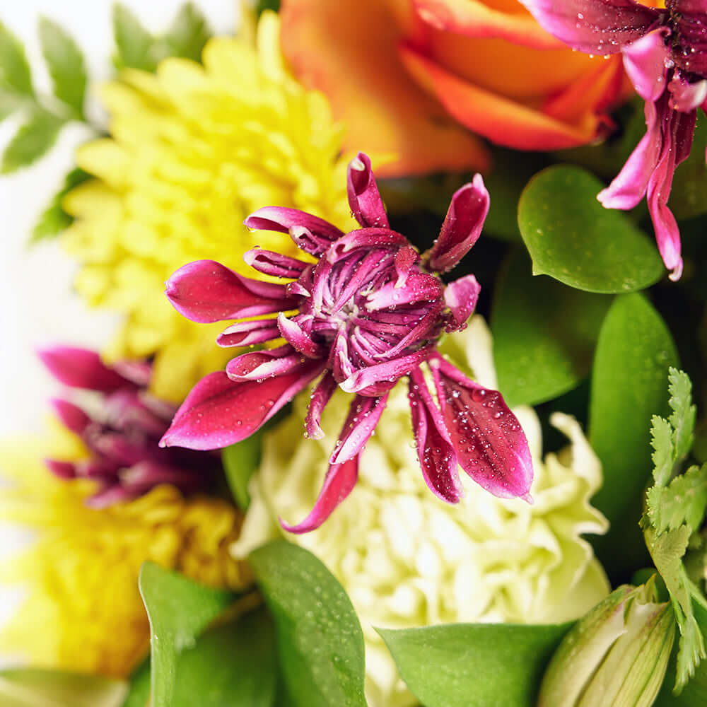 Blooms America Flower Delivery - Blooms America Flower Gifts - Mixed Flower Bouquet