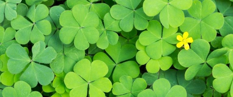 St Patrick's Day