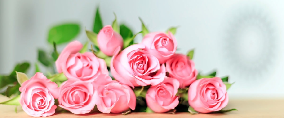 All Season Flowers
