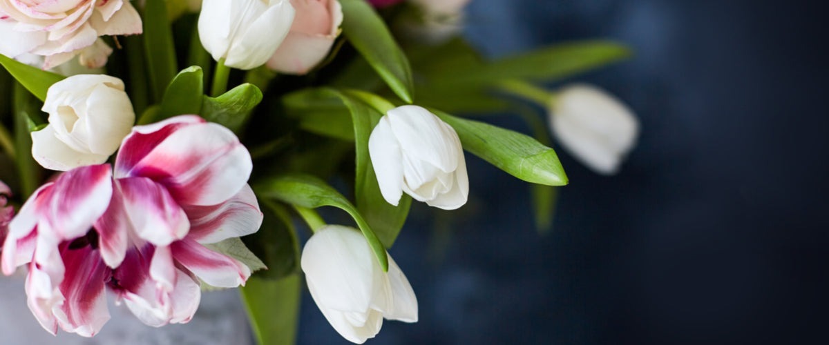 Flowers - New Arrivals