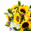 Charming Amber Sunflower Arrangement, assorted flowers arrangement, sunflowers, arrangement delivery blooms america, Blooms America