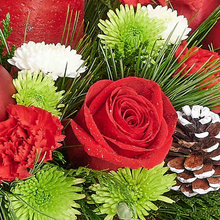 holiday,  centrepiece,  Floral Arrangement,  christmas,  floral gift delivery, delivery floral gift, christmas delivery blooms america, Blooms america christmas delivery, Blooms America 