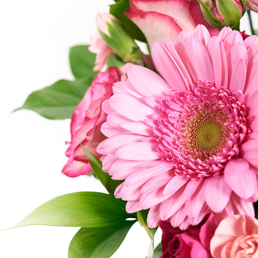 Colour Crazed Carnations Flower Gift - Mixed Floral Hat Box - Same Day America Delivery