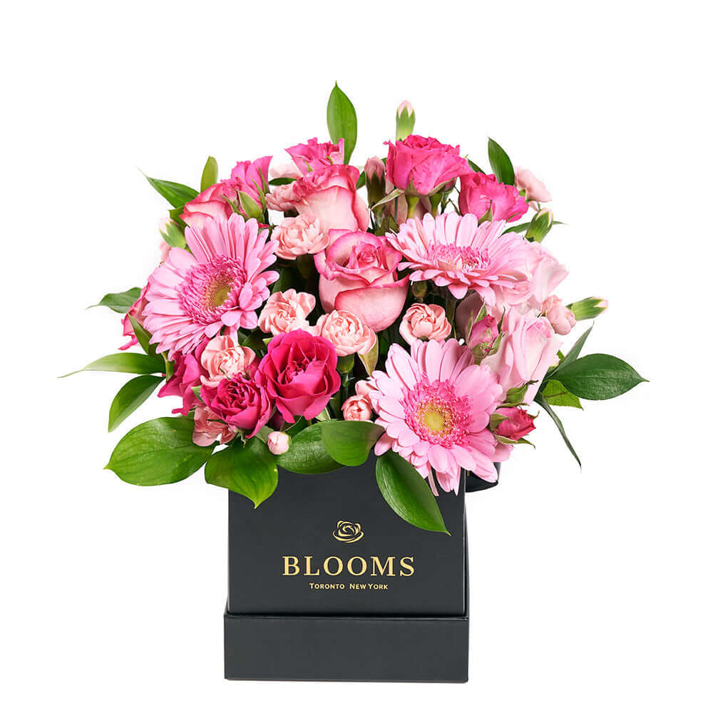 Colour Crazed Carnations Flower Gift - Mixed Floral Hat Box - Same Day America Delivery