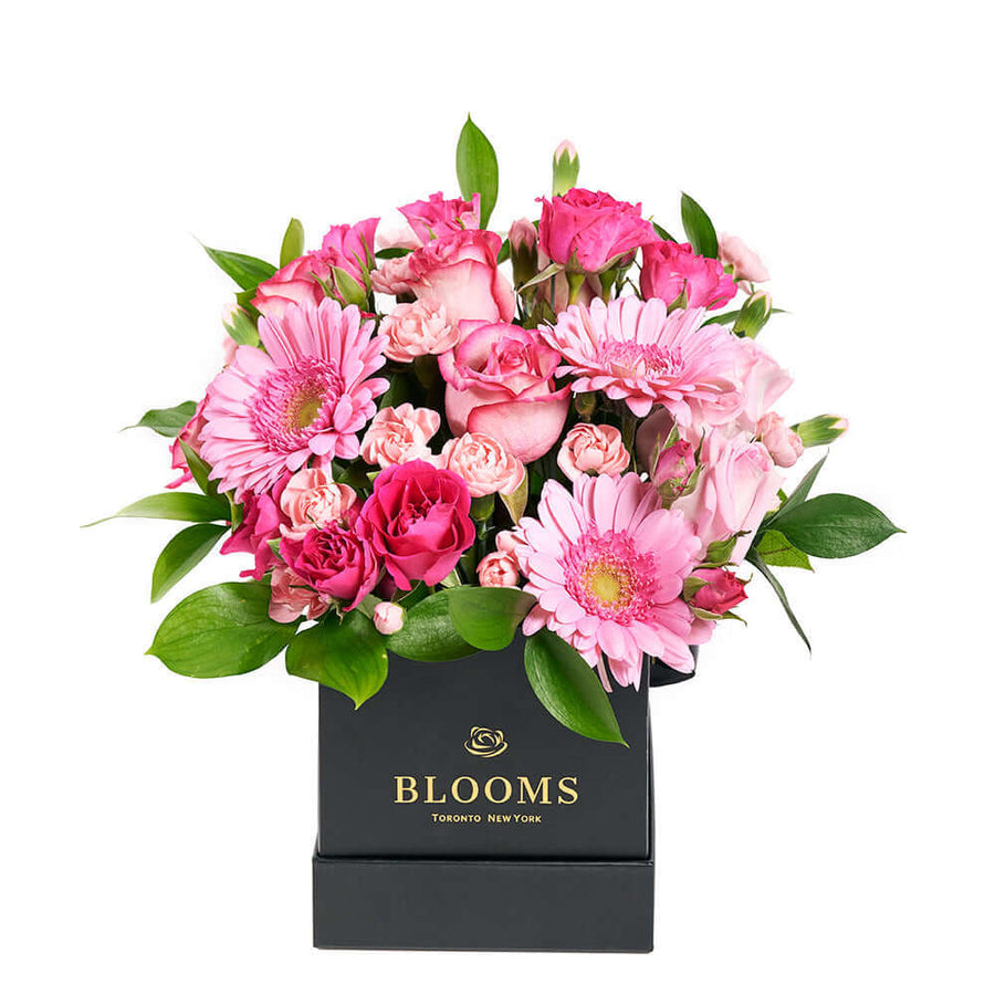 Colour Crazed Carnations Flower Gift - Mixed Floral Hat Box - Same Day America Delivery