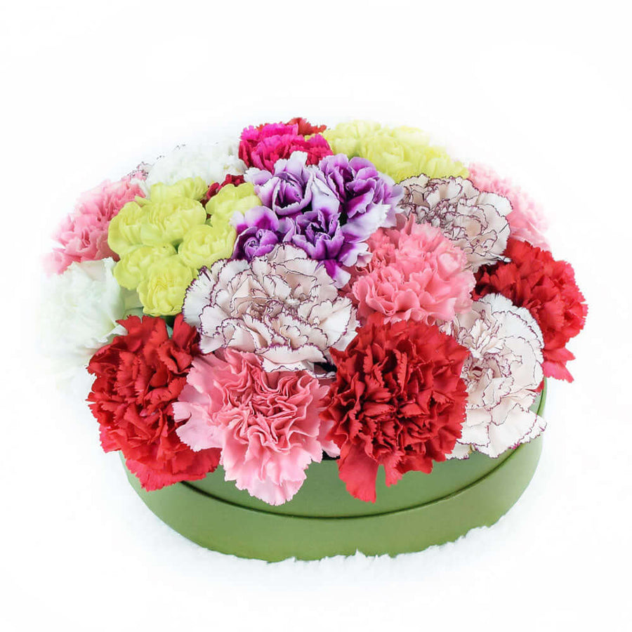 Colourful Radiance Flower Box Set - Carnation Flower Hat Box -America Blooms America Blooms Delivery