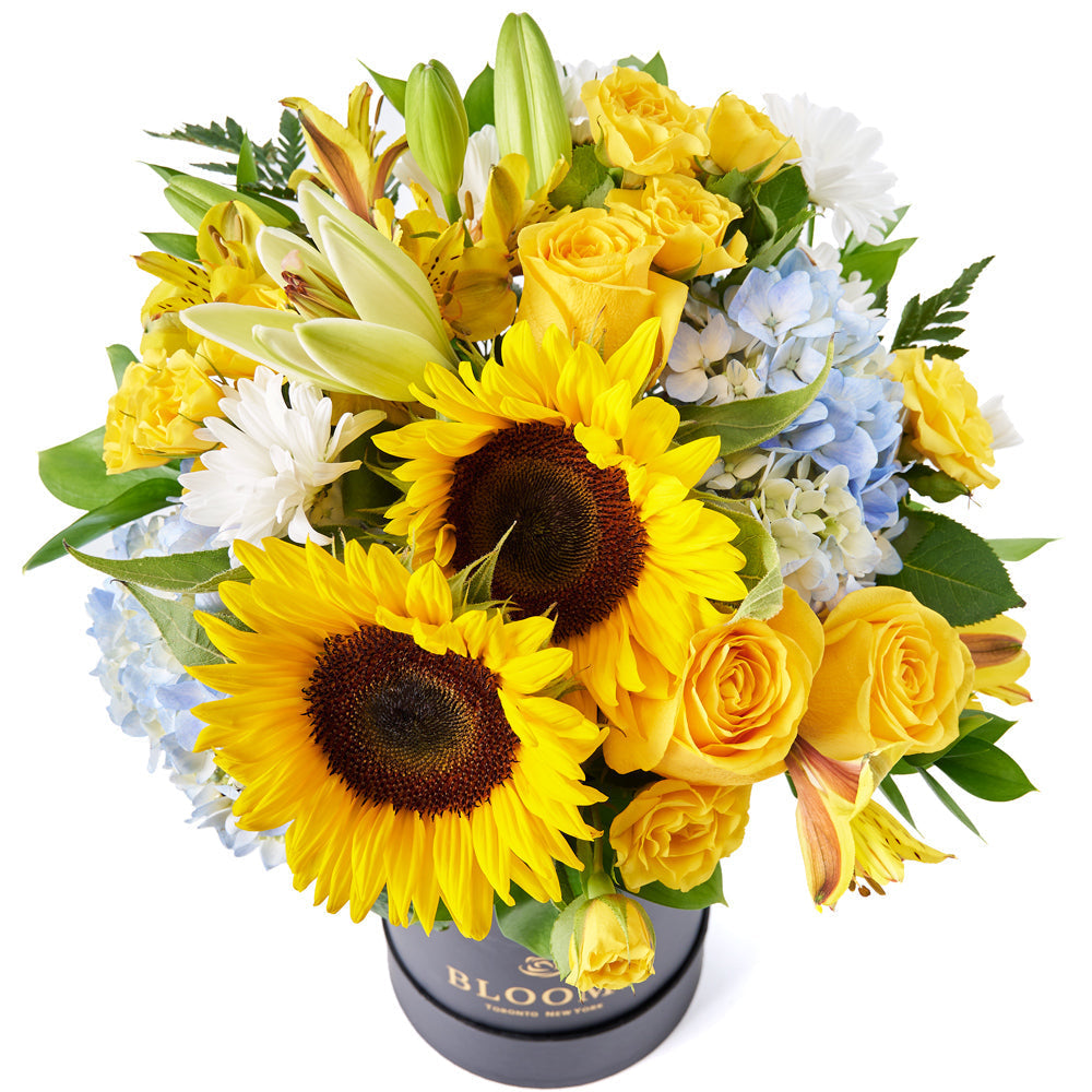 Hydrangea and Sunflower Flower Arrangement in Tall Black Designer Box – how the gift is presented