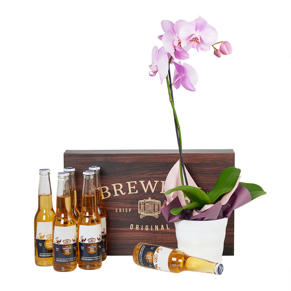 Day Out With The Pals Flowers &amp; Beer Gift, Beer and Orchids Friendship Gift from America Blooms - America Delivery.