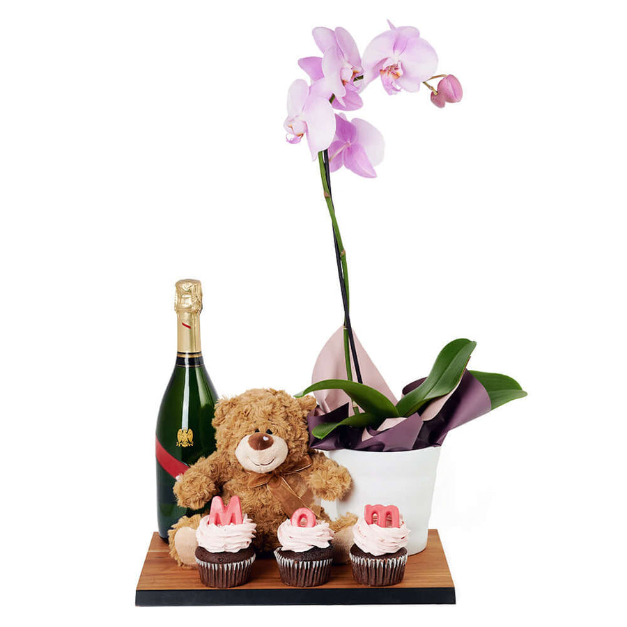 Teddy bear, Orchid, Cupcake and Champagne Set - America Blooms Gift Delivery