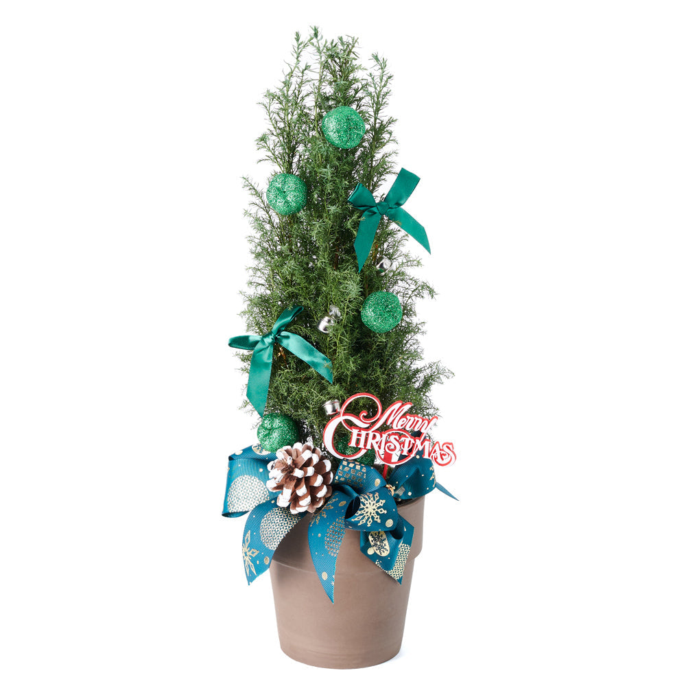Floral Gift, christmas, holiday, tree, mini christmas tree, Set 24023-2021, holiday mini tree delivery, delivery holiday mini tree, christmas mini tree America, America mini christmas tree, America