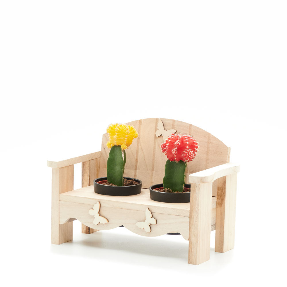 Birthday Cactus Arrangement in Wooden Planter Bench – how the gift is presented