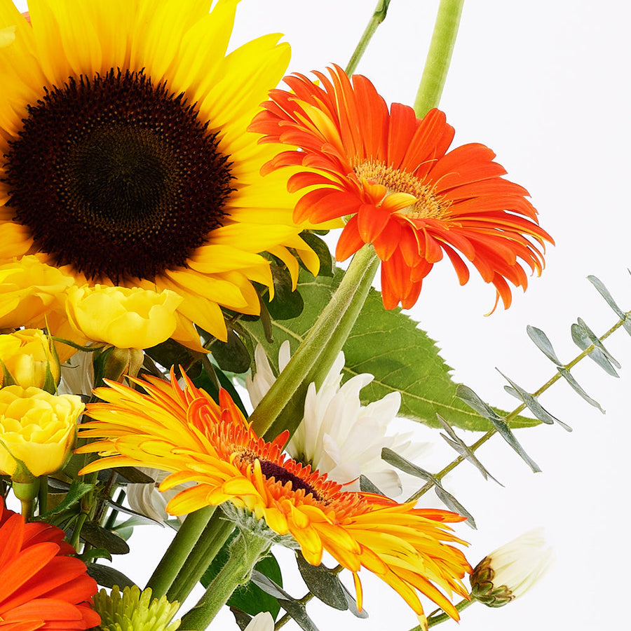 Exalted Amber Sunflower Arrangement - America Blooms Delivery