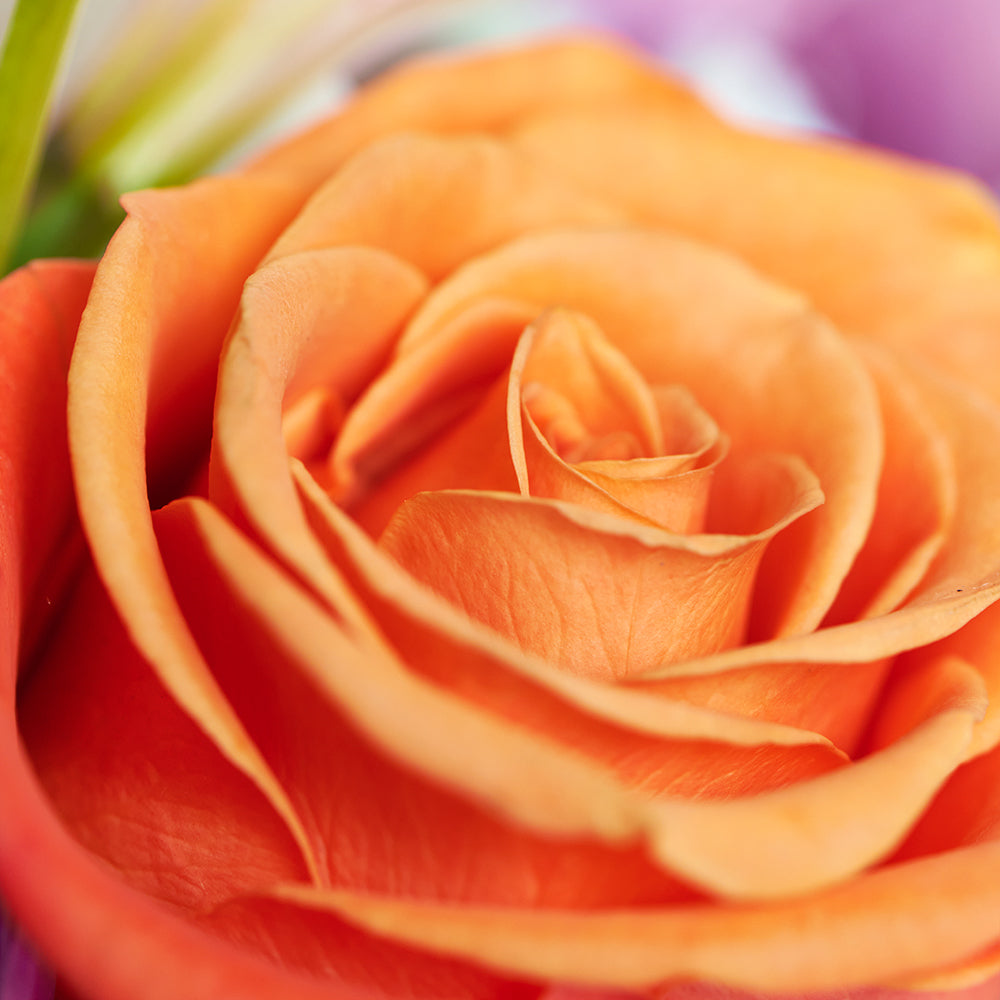 Heavenly Scents Flowers & Candle Gift, Mixed Flower and Candle Set from America Blooms - America Delivery.