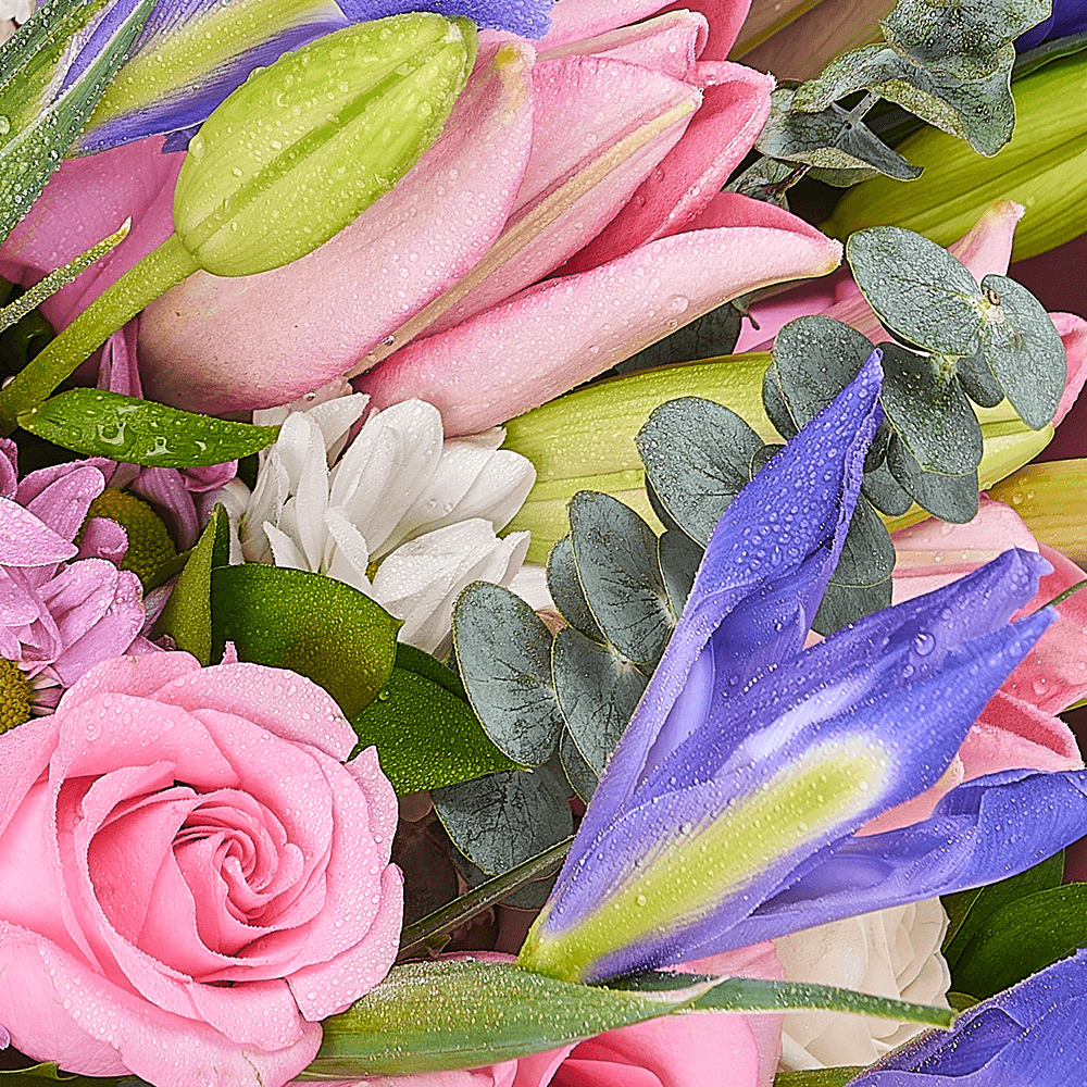 Lavender Whispers Iris Bouquet, from America Blooms - Same Day America Delivery.