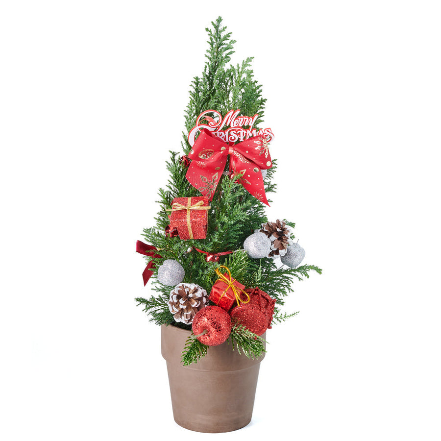Merry Decorated Mini Christmas Tree. Coming pre-decorated with Christmas ornaments and pine cones, this beautiful potted tree gives a lovely holiday feel to any space, big or small! America Blooms Delivery