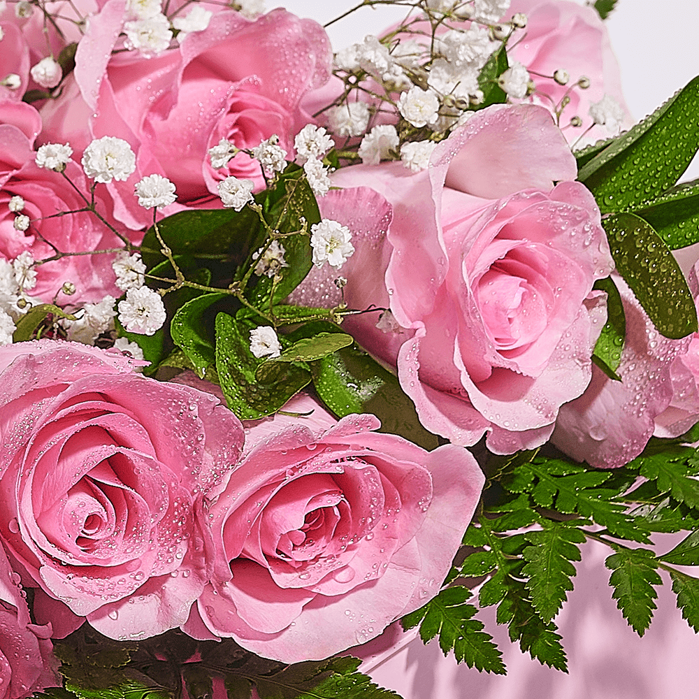 Mother’s Day 12 Stem Pink & White Rose Bouquet with Box, Bear, & Chocolate, mothers day gift, mothers day, plush gift, plush, rose gift, rose, America delivery