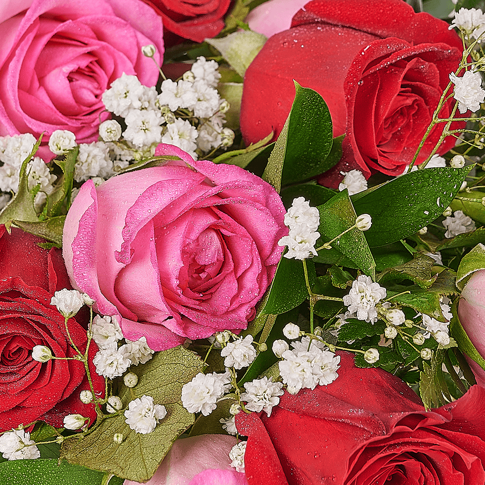 Mother’s Day 12 Stem Red & Pink Bouquet, rose gift, rose, mothers day gift, mothers day, America delivery