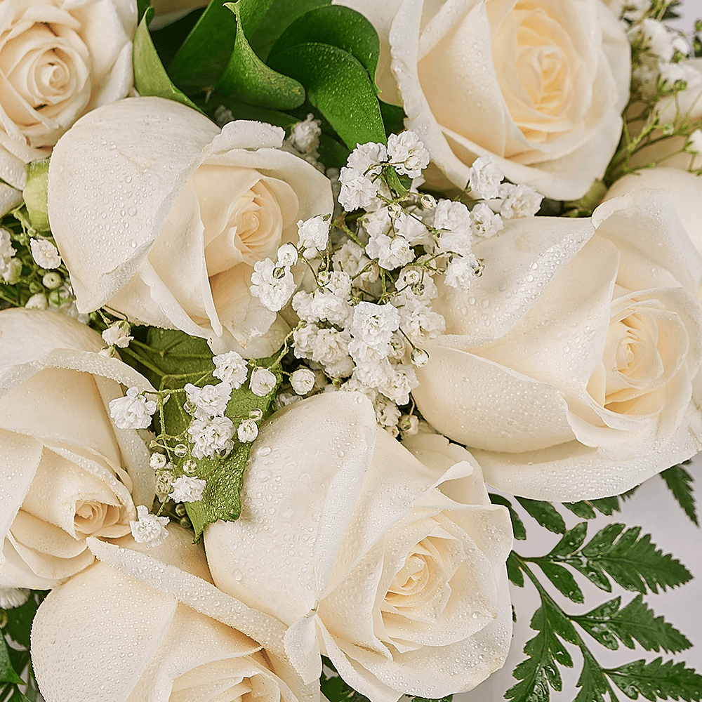 Mother's Day Dozen White Rose Bouquet, mothers day gift, mothers day, rose gift, rose, America delivery