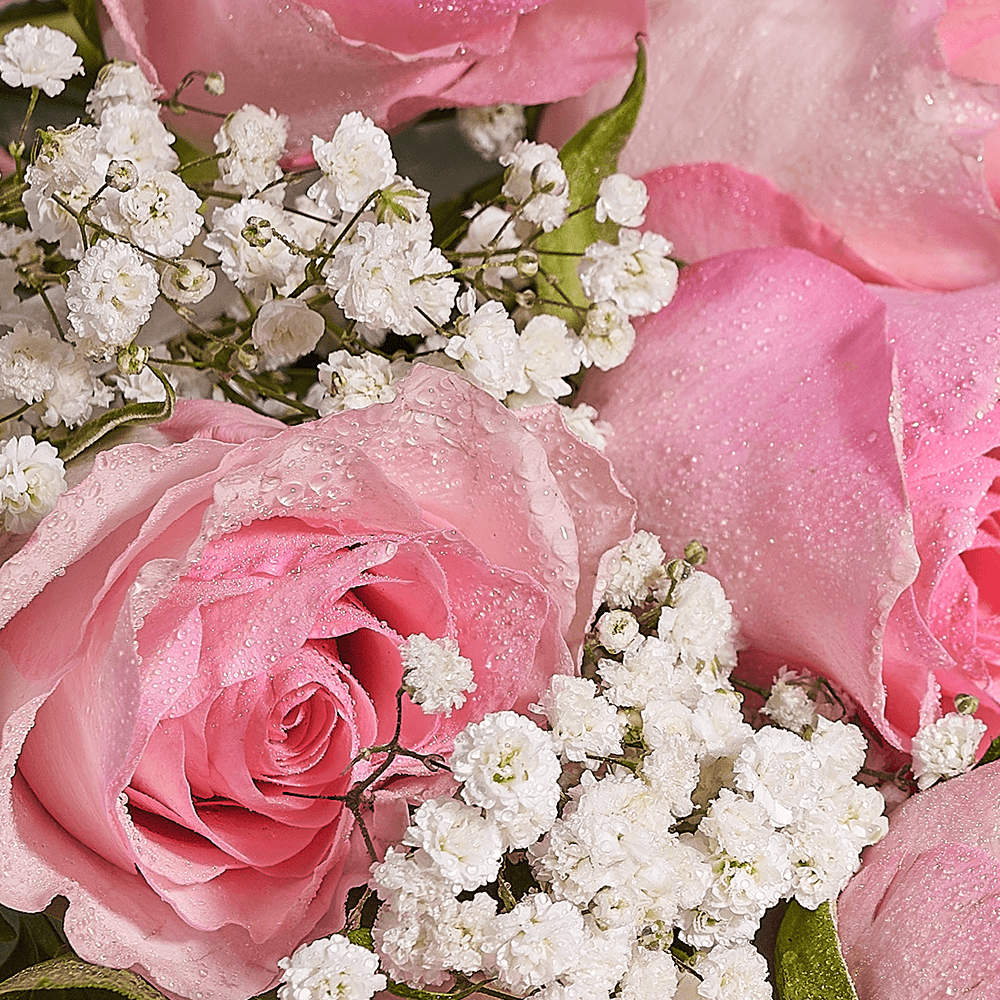 Mother’s Day Ultimate Pink Rose Gift Set – Mother’s Day Gifts – America delivery, champagne gift, champagne, sparkling wine gift, sparkling wine