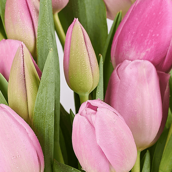 Thank You Flowers