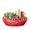 Potted Christmas Plant Arrangement from America Blooms is a beautiful plant arrangement that will delight your recipient. America Blooms Delivery