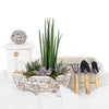 Potted Succulent Garden, floral gift baskets, gift baskets, succulent gift baskets. America Blooms-America Blooms Delivery