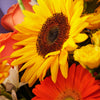 Ray of Hope Sunflower Bouquet, sunflower bouquet from America Blooms - America Delivery.