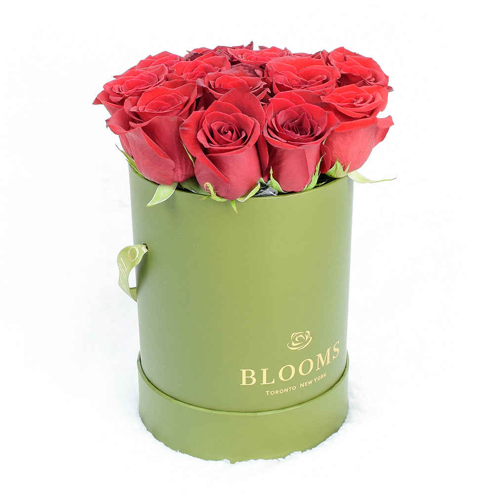 Red Rose &amp; Spring Green Gift Box. America Blooms- America BloomsDelivery