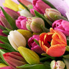 Resplendent Spring Tulip Gift Set, tulip gift baskets, gourmet gifts, gifts, tulips, wine gifts. Blooms America Delivery