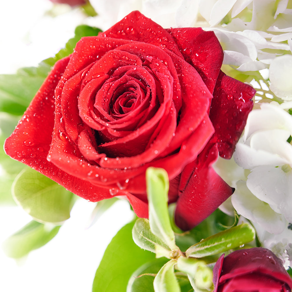 Rose and Hydrangea Vase with Wine - Wine Gift Set - Blooms America- Blooms America Delivery